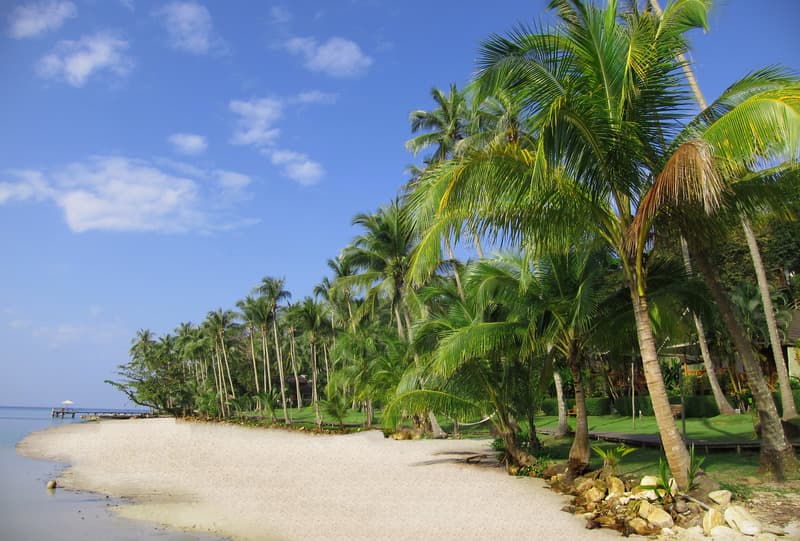 Tolani Resort Koh Kood 4