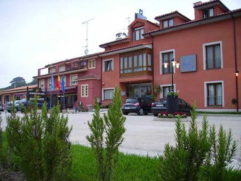 Bufon De Arenillas (Adults Only) main