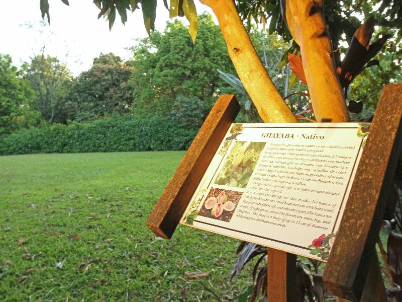 Iguazú Grand by Grand Hotels Lux 4