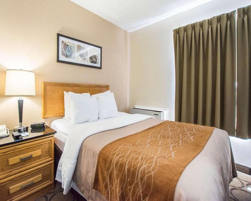 Comfort Inn East 4