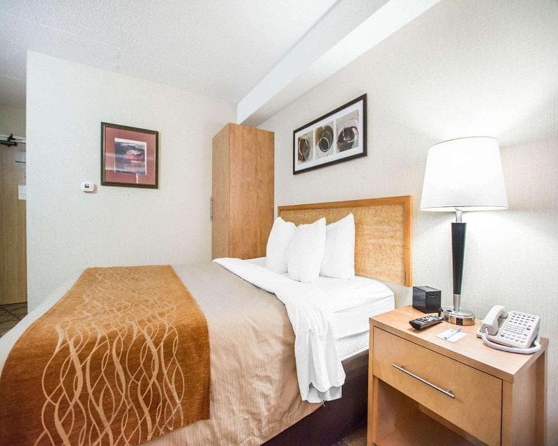 Comfort Inn East 5