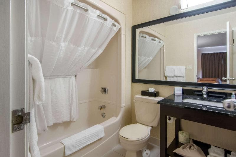 Comfort Inn Sudbury South End 3