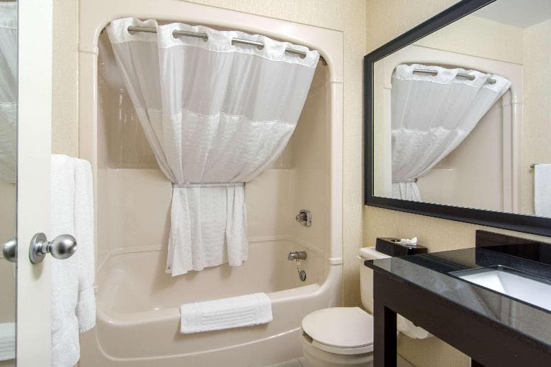 Comfort Inn Sudbury South End 4