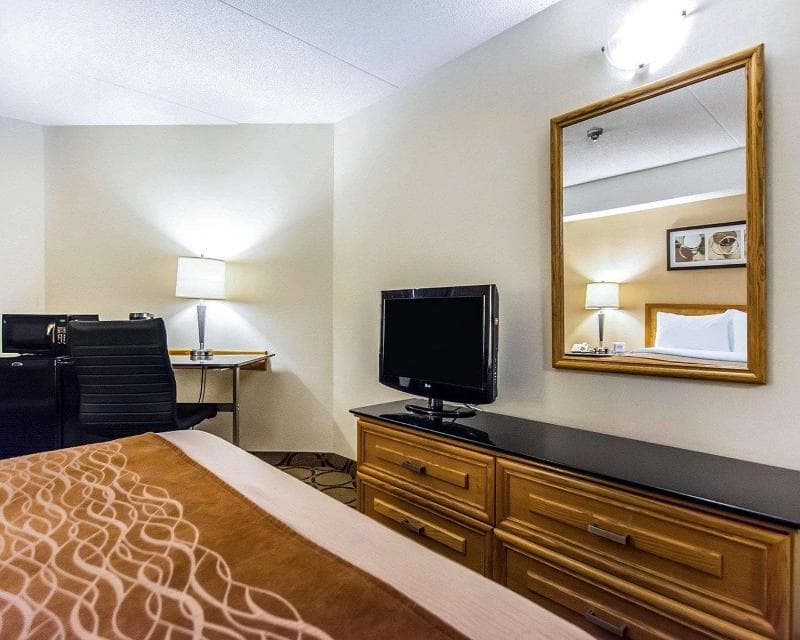 Comfort Inn East 3