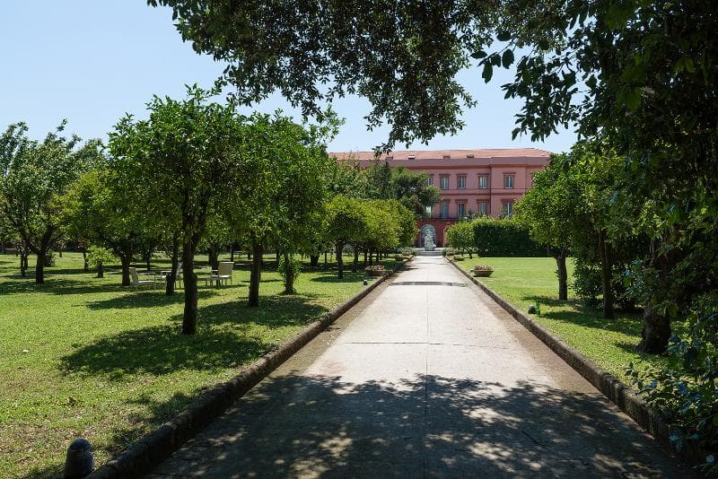 Miglio D'oro Park photo 1