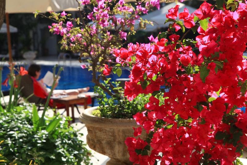 Doubletree By Hilton Bodrum Marina Vista 3