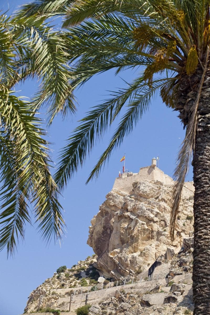 Dormirdcine Alicante 4