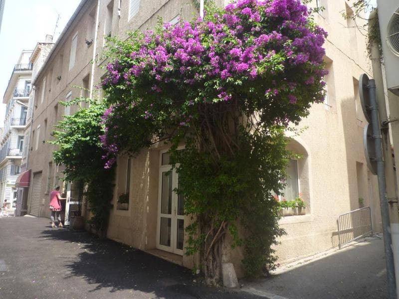 Appia Hotel main