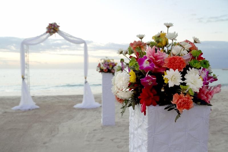 Negril Palms Hotel photo 1