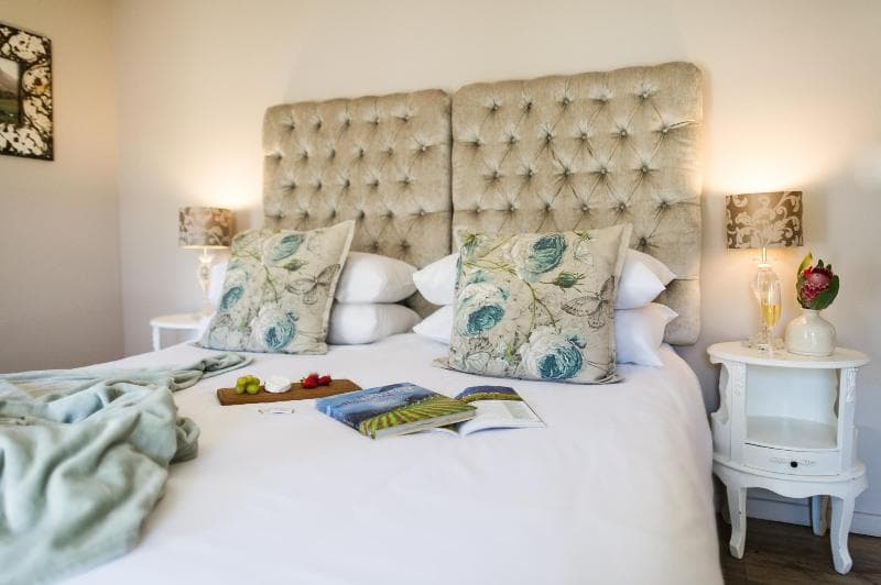 Zorgvliet Vineyard Lodge & Spa 3