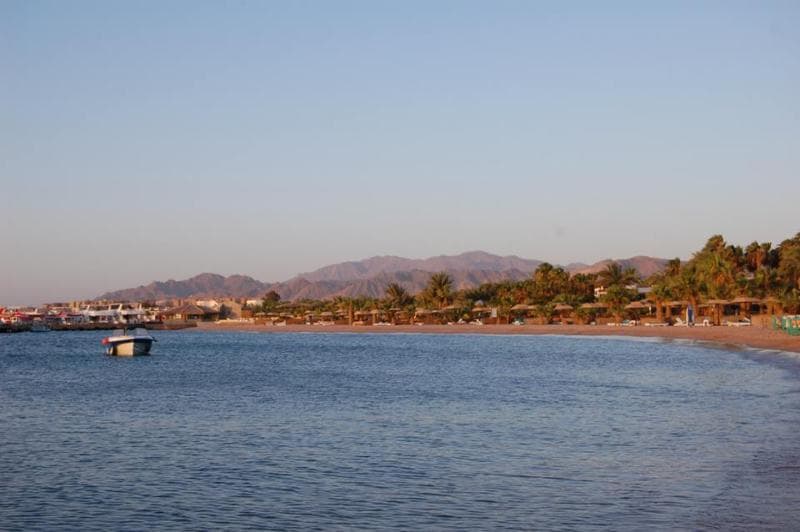 Lotus Bay 2