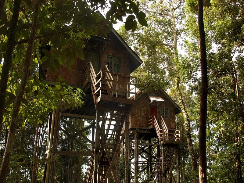 Permai Rainforest Resort, Kuching photo 1