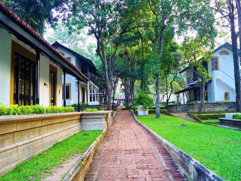 Cinnamon Lodge Habarana 5