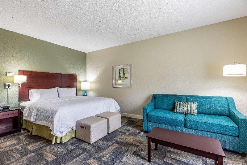 Hampton Inn & Suites Orlando-South Lake Buena Vista 3