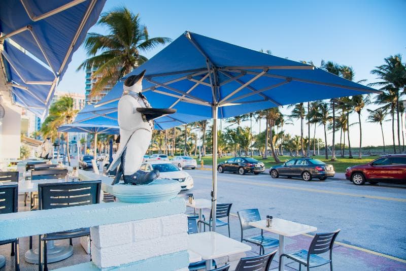 Penguin Hotel 2