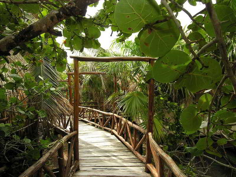 Jade Tulum Hotel photo 1