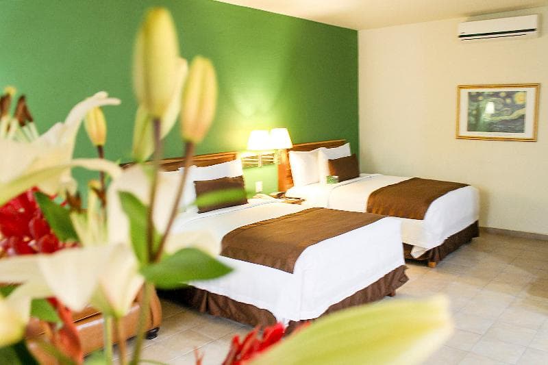 Comfort Inn Tampico 5
