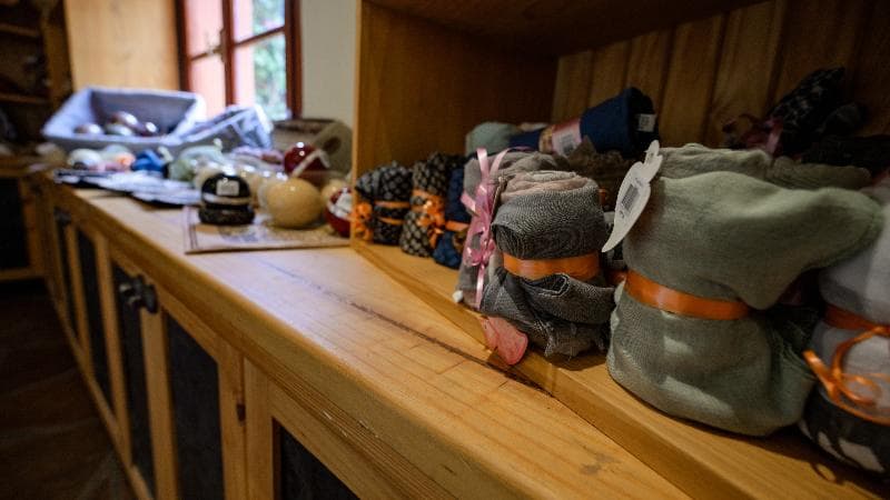 Canyon Lodge 1