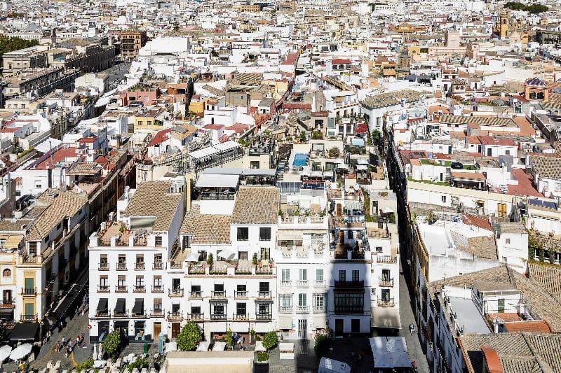 Eme Catedral 5