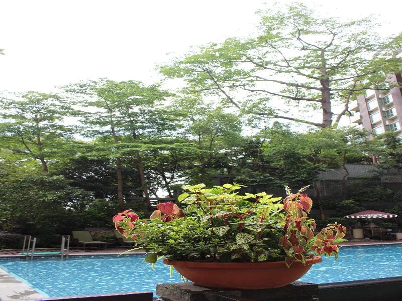 Royal View 4