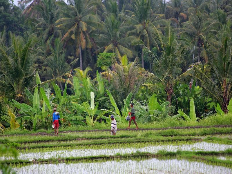 Taman Harum Cottages 2