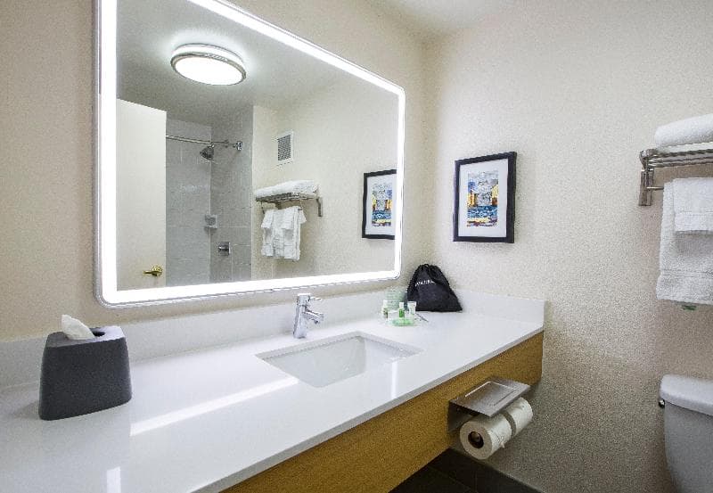 Holiday Inn North Shore - Skokie 5