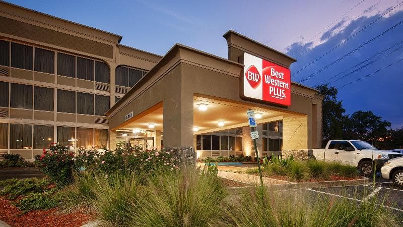 Best Western Plus Lower South End 4