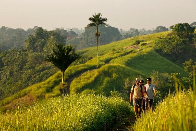 Como Uma Ubud 5