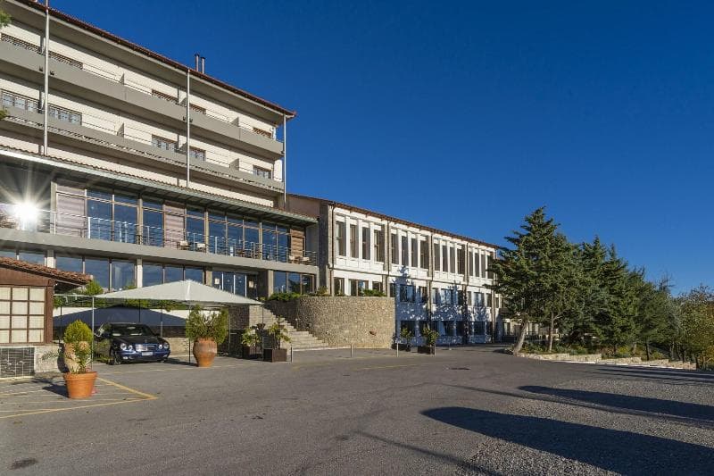 Domotel Anemolia Arachova 3