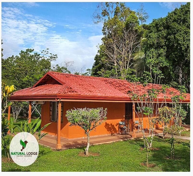 Natural Lodge Cano Negro 3