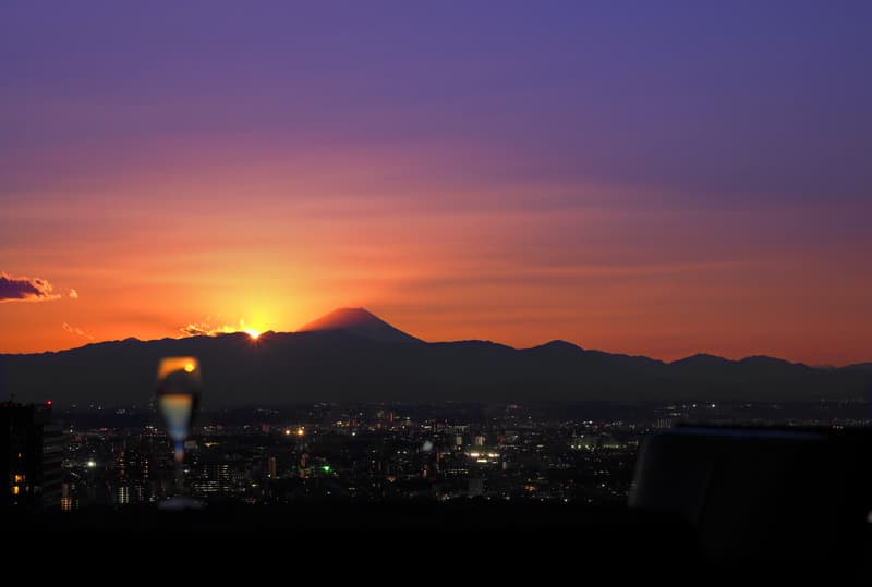 Cerulean Tower Tokyu Hotel 2
