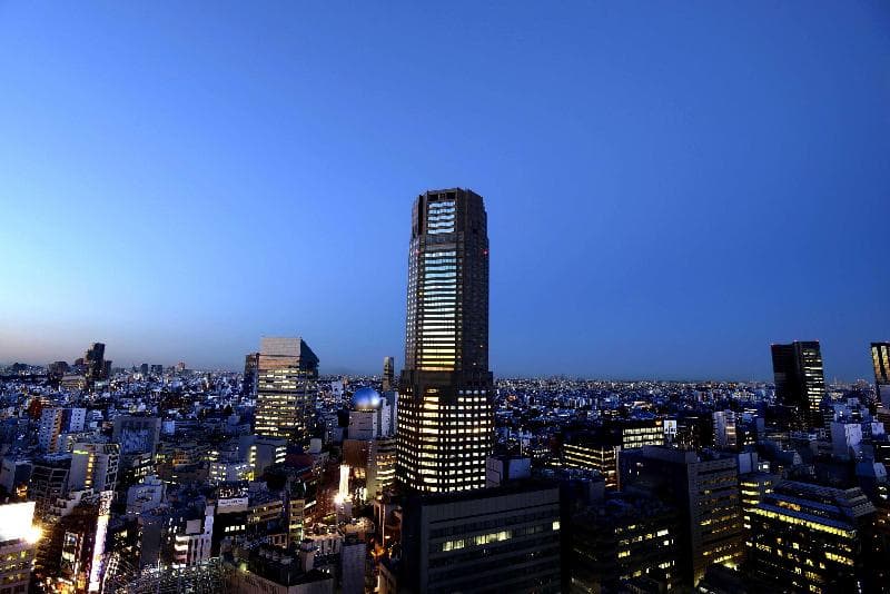 Cerulean Tower Tokyu Hotel 5
