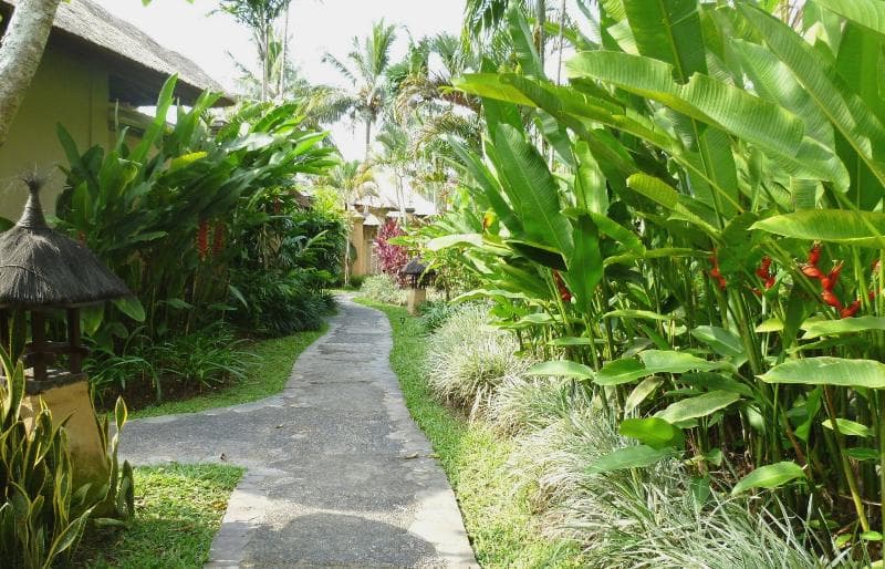 Villa Semana main