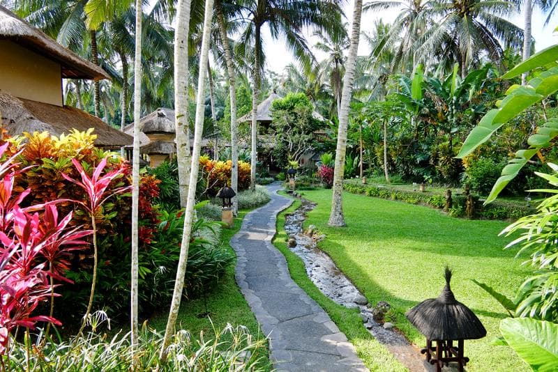 Villa Semana 5