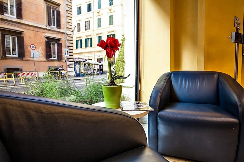 Hotel Camelia 5
