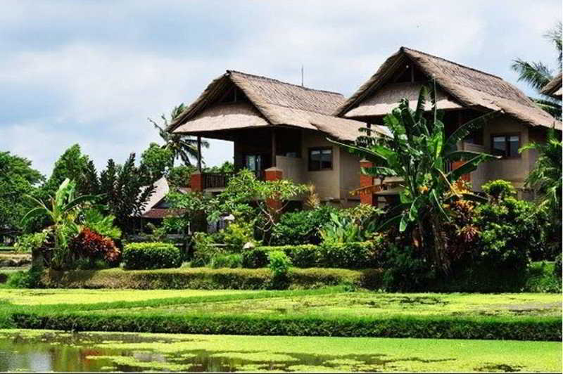 Tegal Sari Accommodation photo 1