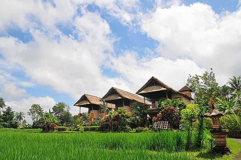 Tegal Sari Accommodation 5
