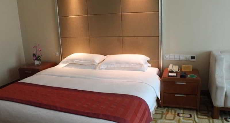 Ztl Hotel Shenzhen 5