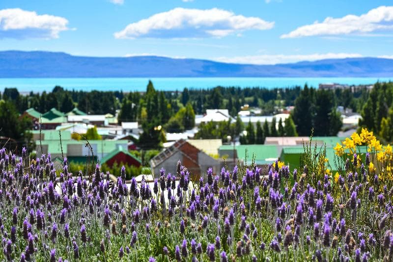 Esplendor by Wyndham El Calafate 5