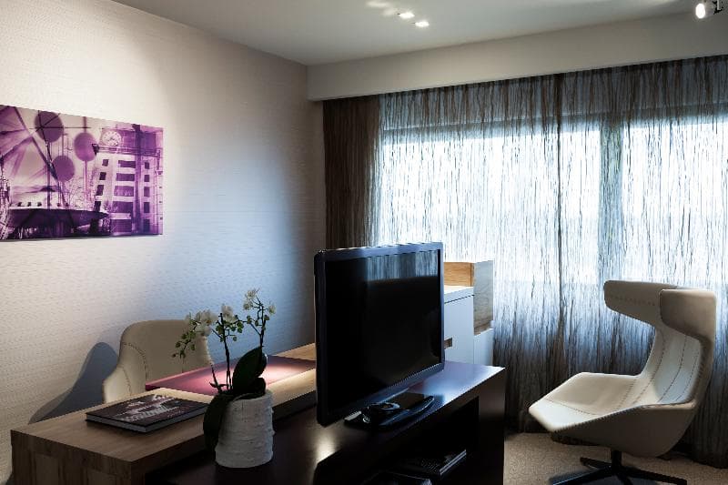 Pullman Eindhoven Cocagne 1