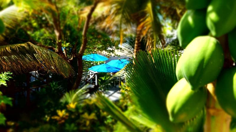 Bacolet Beach Club 3