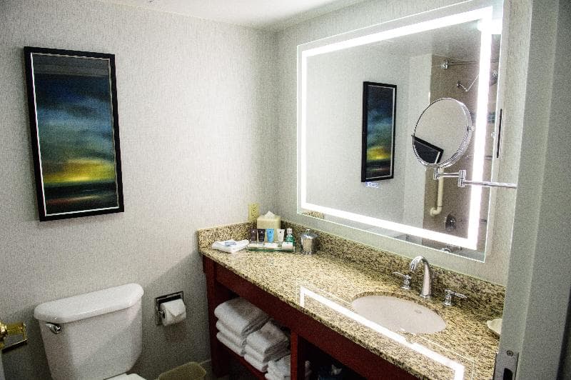 Crowne Plaza Dulles Airport 5