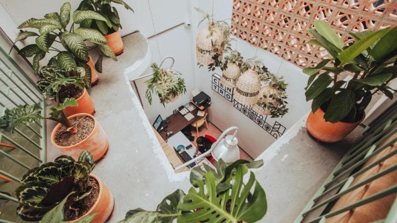 Centro Hostel Medellin 3