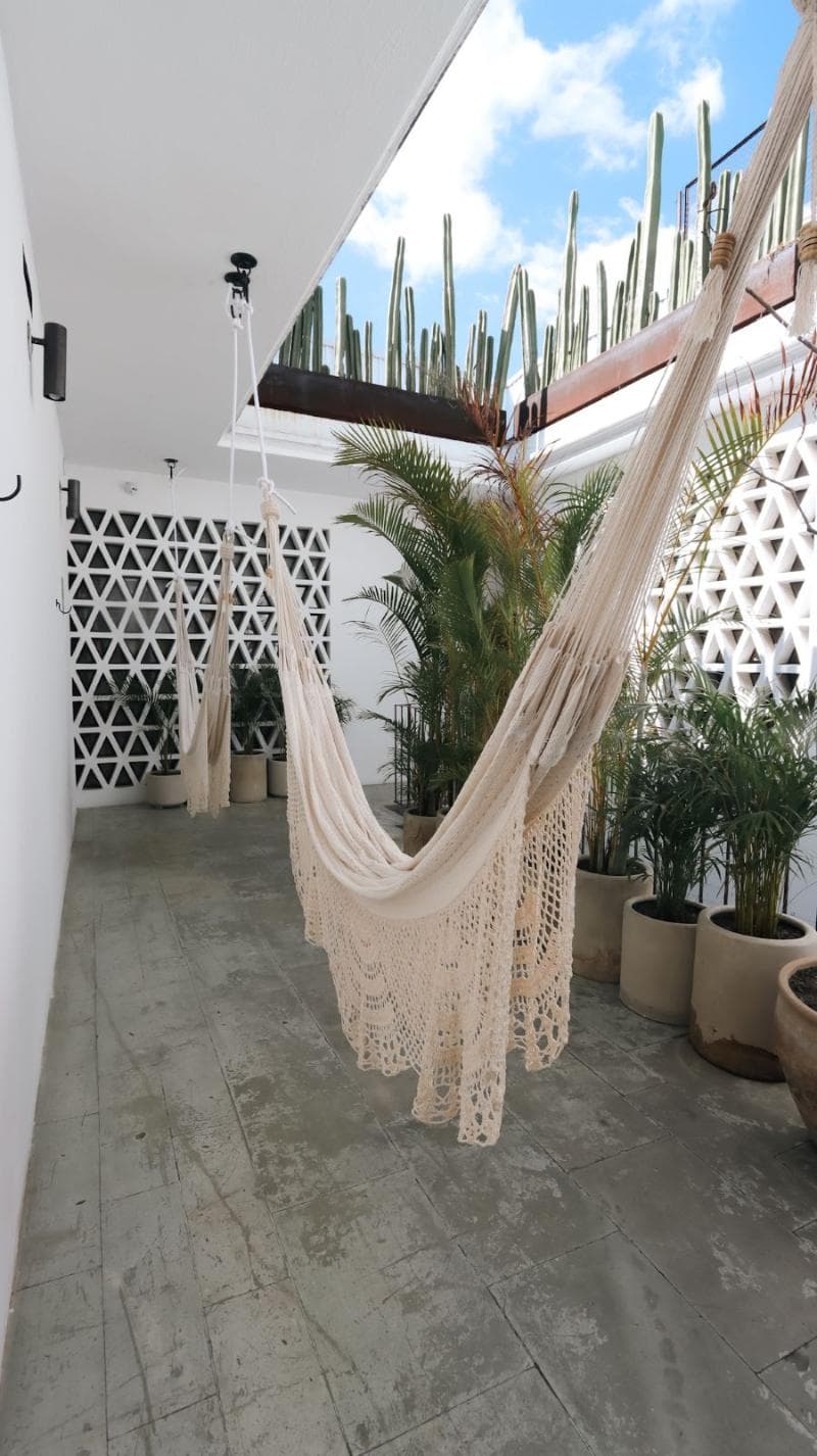 Hotel Sin Nombre 3