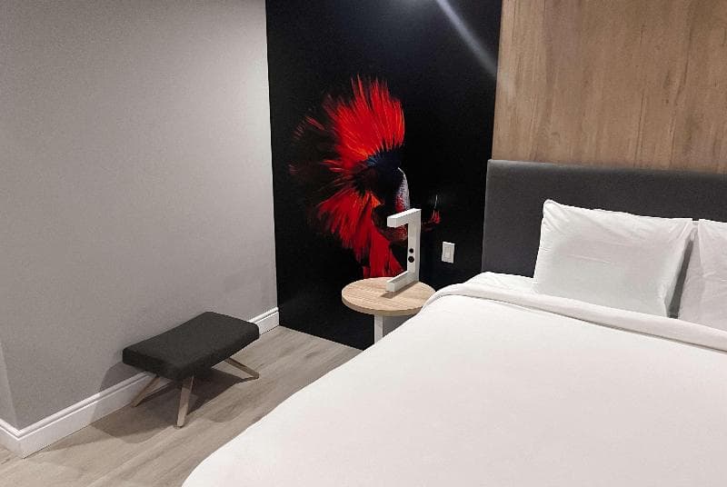 TRYP by Wyndham Aruba Adults Only Hotel 3