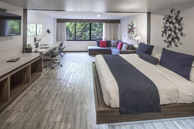 FlowSuites Condesa Adults Only 4