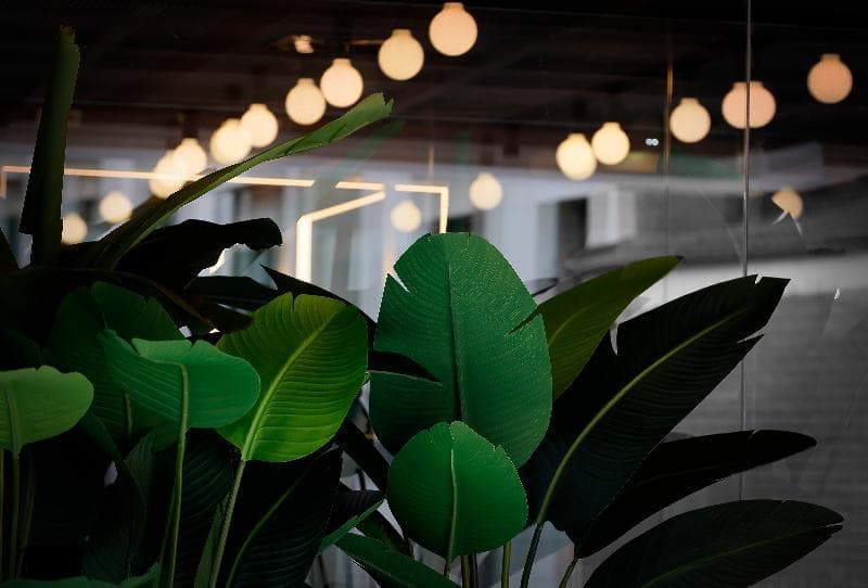 Nuvo Hotel Boutique 3