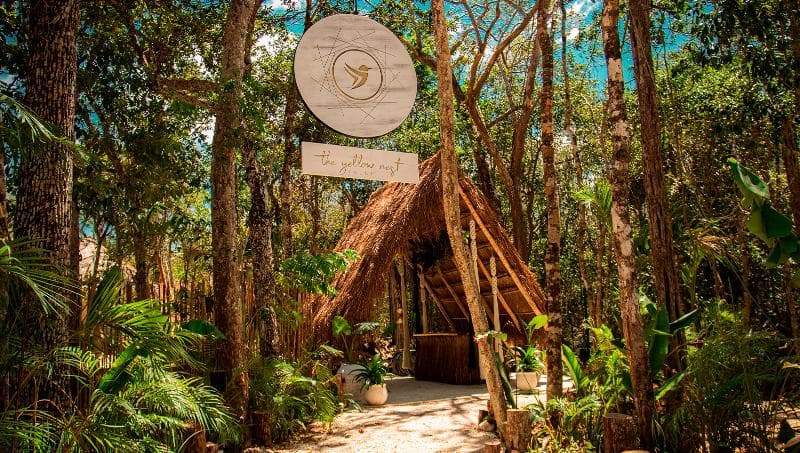 The Yellow Nest Tulum 5