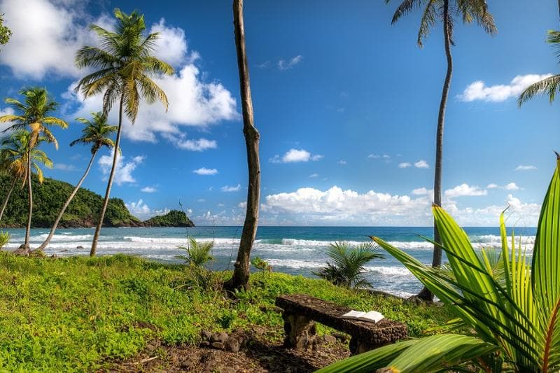 Rosalie Bay Resort photo 1