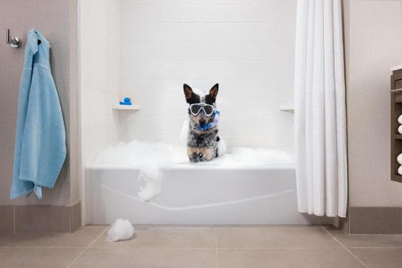 Home2 Suites by Hilton Winter Garden 5